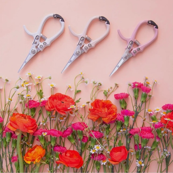 Pruning Shears - Picture 2 of 10